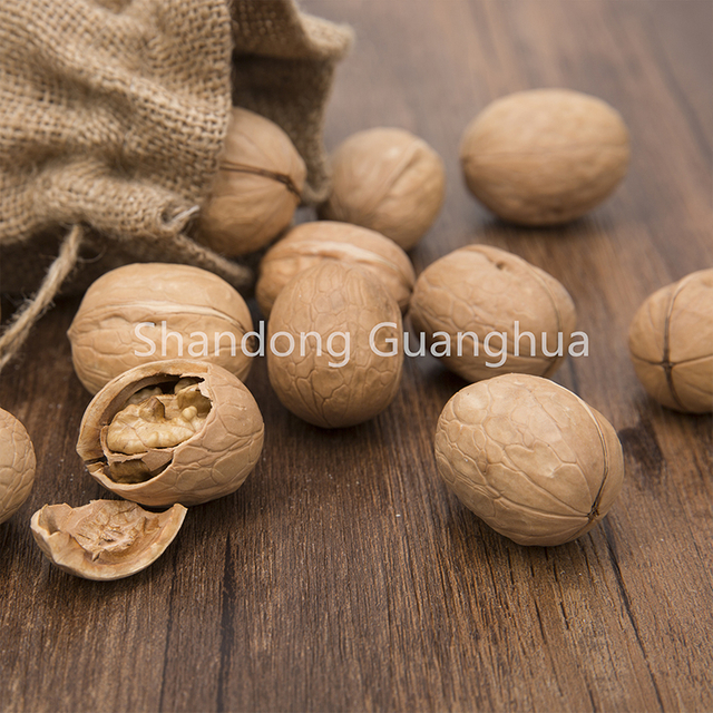 Récolte de noix d'origine Chine 2023
