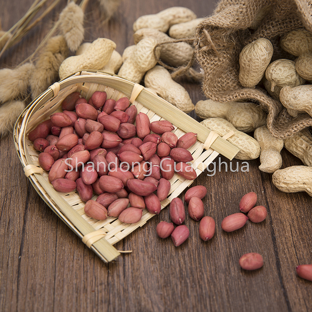 Nouvelle récolte de grains d'arachide à peau rouge en provenance de Chine