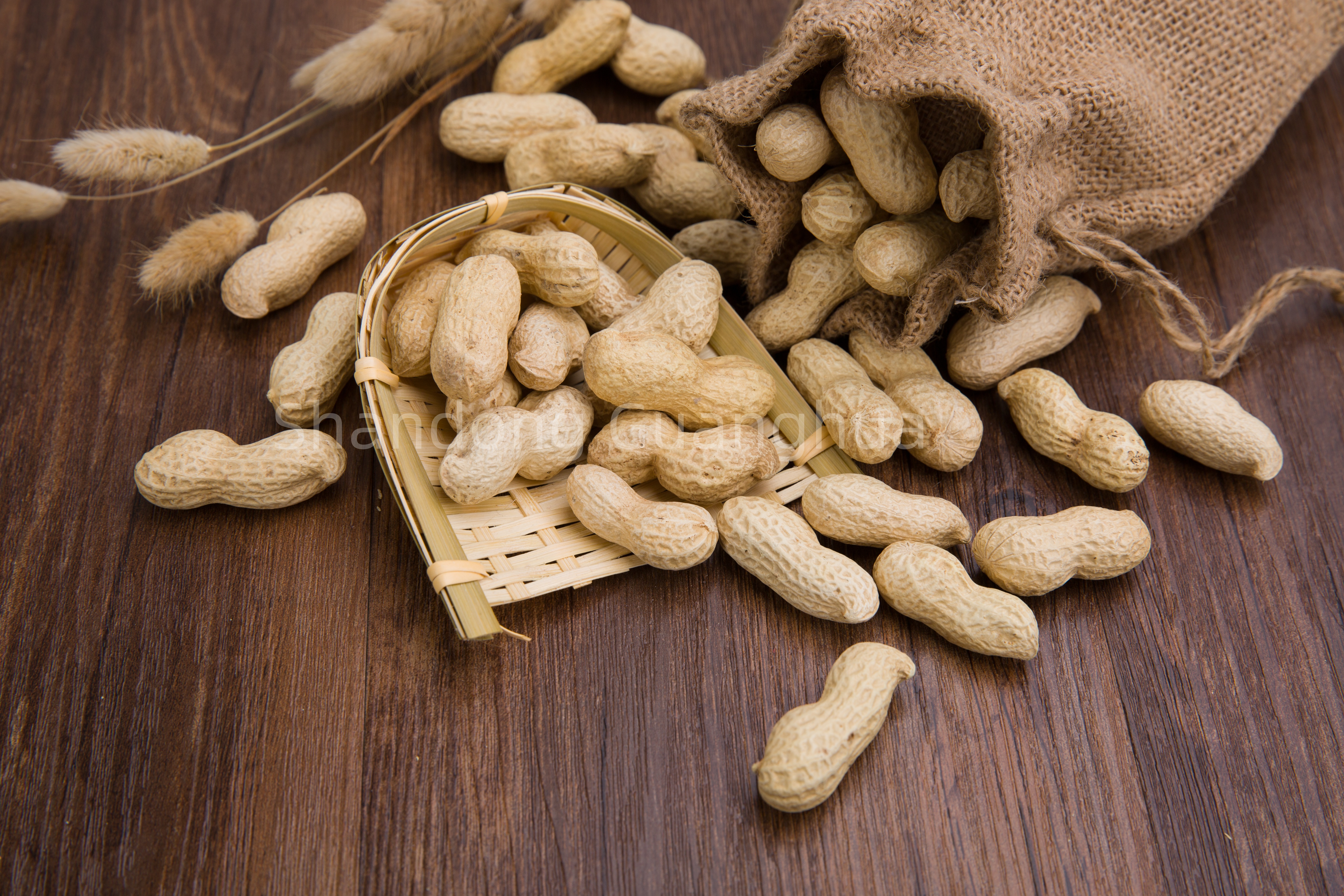 Découvrez la valeur nutritionnelle des cacahuètes grillées comme collation saine